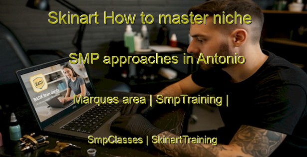 Skinart How to master niche SMP approaches in Antonio Marques area | SmpTraining | SmpClasses | SkinartTraining-Brazil